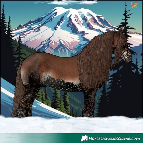 Horse Color:Void Liver Chestnut Splash Tobiano