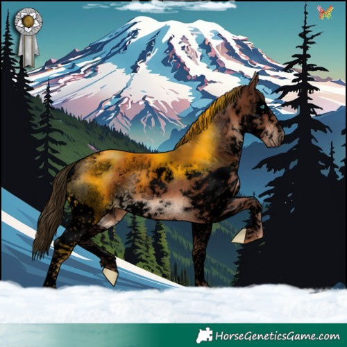 Horse Color:Void Liver Chestnut Sabino Splash