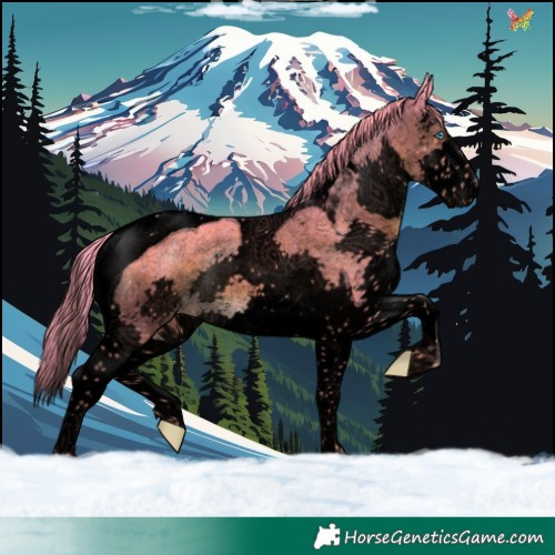 Horse Color:Void Watercolor Liver Chestnut Sabino Splash Tobiano