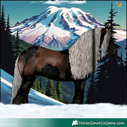 Horse Color:Void Silver Brown Sabino Splash Tobiano