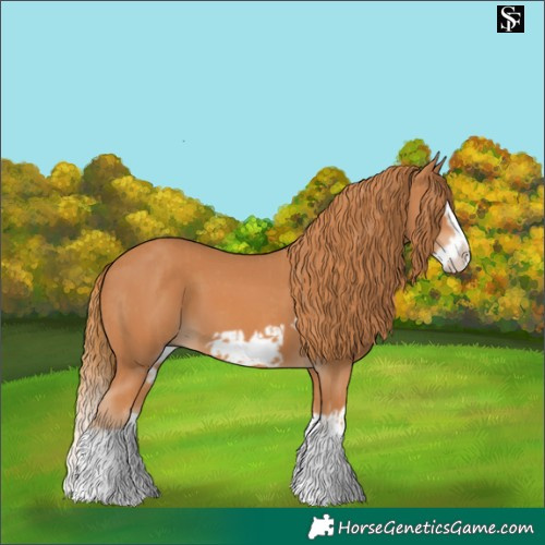 Horse Color:Chestnut Splash Frame and Chestnut Splash Frame