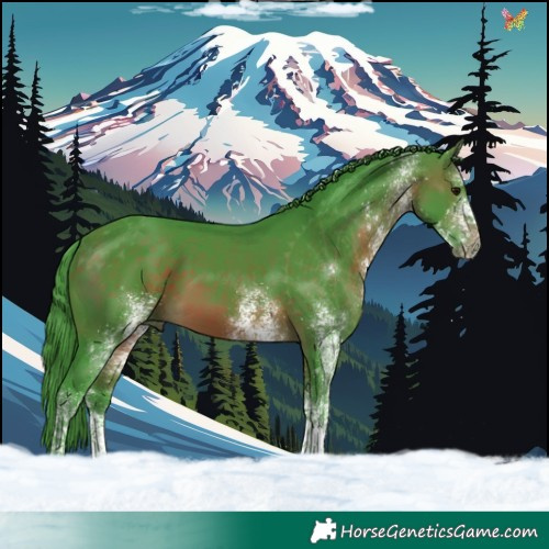 Horse Color:Watercolor White Spotted Brown