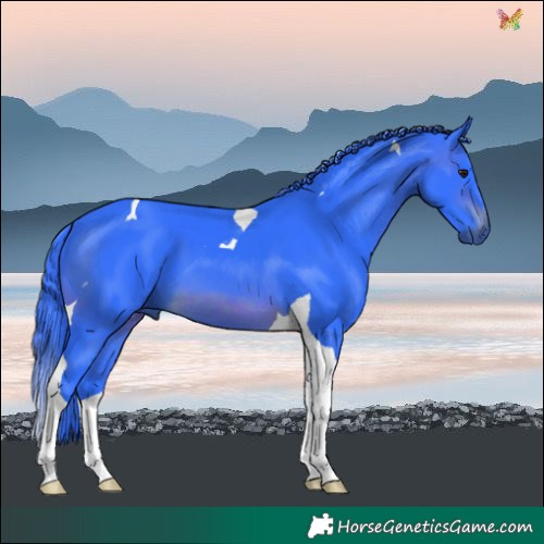 Horse Color:Watercolor Brown Tobiano