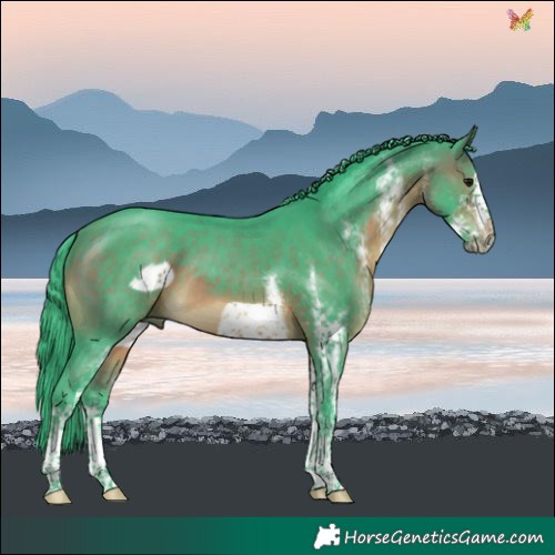 Horse Color:Watercolor White Spotted Brown Frame Rabicano