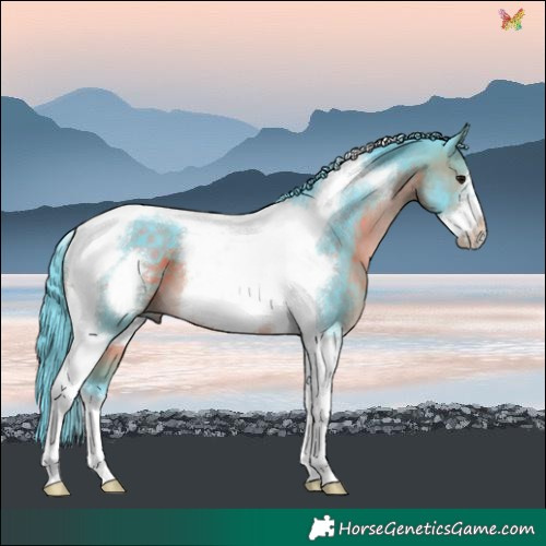 Horse Color:Watercolor Brown Tobiano Frame 