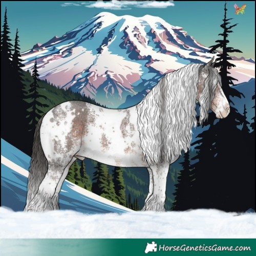 Horse Color:White Spotted Liver Chestnut Sabino