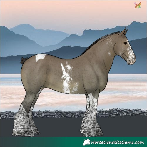 Horse Color:Smoky Grullo Sabino Tobiano