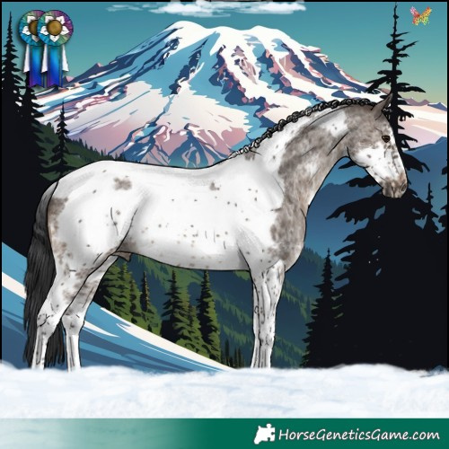 Horse Color:Brown Dun Sabino Tobiano Frame