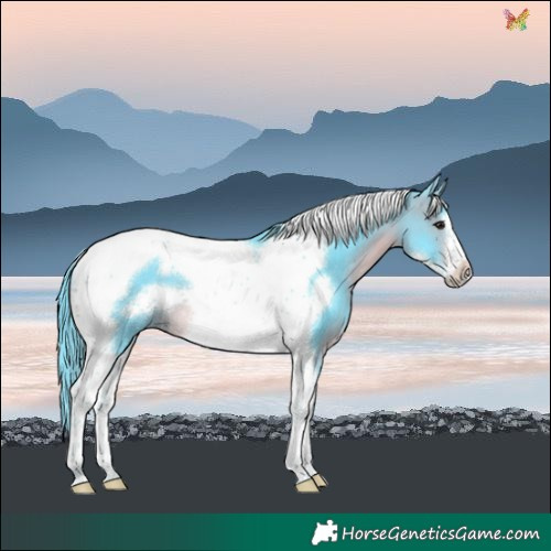 Horse Color:Watercolor Brown Tobiano Frame Rabicano
