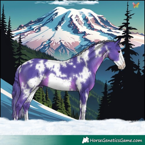 Horse Color:Watercolor White Spotted Black Frame 