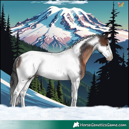 Horse Color:Brown Tobiano Frame Rabicano