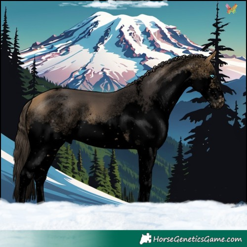 Horse Color:Void Buckskin Sabino Splash Tobiano Frame