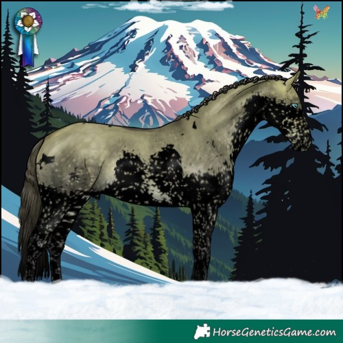 Horse Color:Void White Spotted Buckskin Dun Splash Tobiano Rabicano 