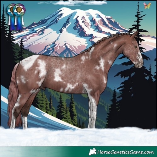 Horse Color:White Spotted Liver Red Dun Tobiano Frame Brindle 