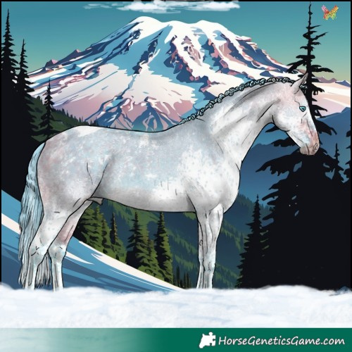 Horse Color:Watercolor White Spotted Buckskin Dun Splash Tobiano Rabicano Brindle 