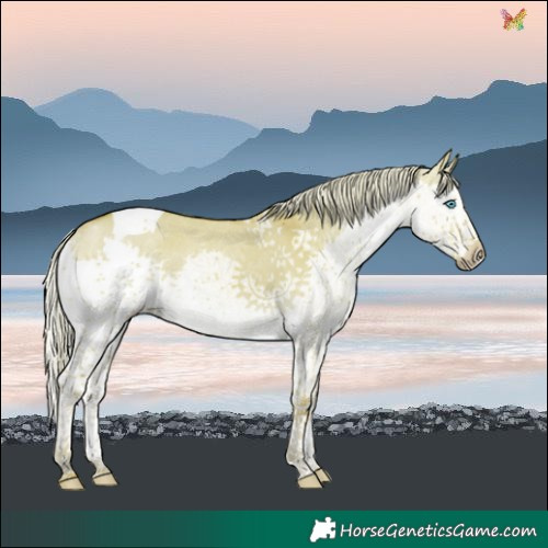 Horse Color:Watercolor Chocolate Palomino Dun Splash Tobiano Rabicano 