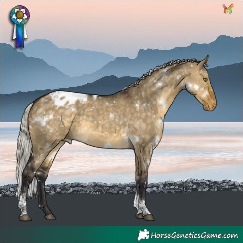 Horse Color:White Spotted Silver Buckskin Dun Tobiano Blanket Rabicano
