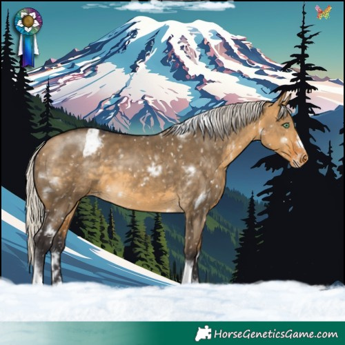 Horse Color:White Spotted Silver Buckskin Dun Tobiano Frame Blanket Rabicano 