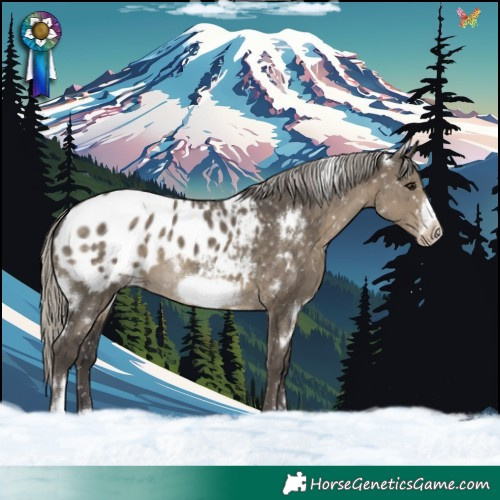 Horse Color:White Spotted Silver Smoky Grullo Sabino Frame Blanket Rabicano