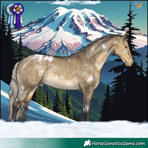 Horse Color:White Spotted Silver Buckskin Dun Blanket Rabicano Brindle 