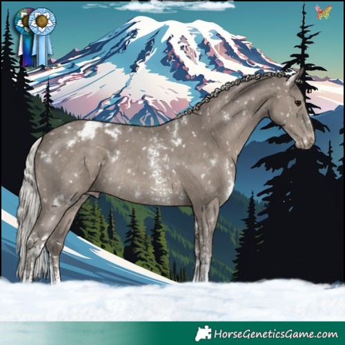 Horse Color:White Spotted Silver Grullo Sabino Blanket Rabicano Brindle 