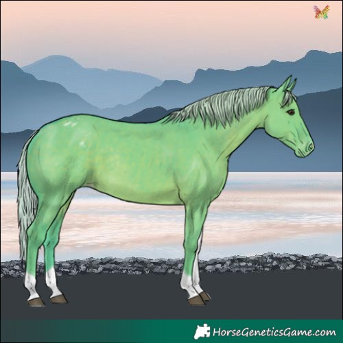 Horse Color:Watercolor Silver Grullo Tobiano Varnish Rabicano 