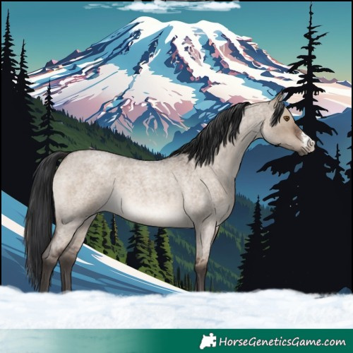 Horse Color:Brown Roan Dun Frame Rabicano 