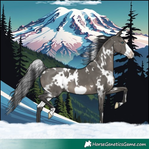 Horse Color:White Spotted Grullo Frame