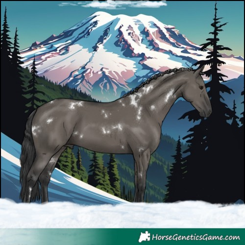Horse Color:White Spotted Grullo