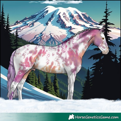 Horse Color:Watercolor White Spotted Brown Dun Splash Tobiano Near Leopard Rabicano