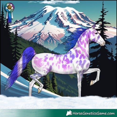 Horse Color:Watercolor White Spotted Grullo Onyx Tobiano Leopard Rabicano