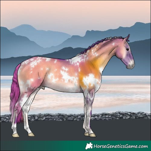 Horse Color:Watercolor White Spotted Grullo Onyx Rabicano 
