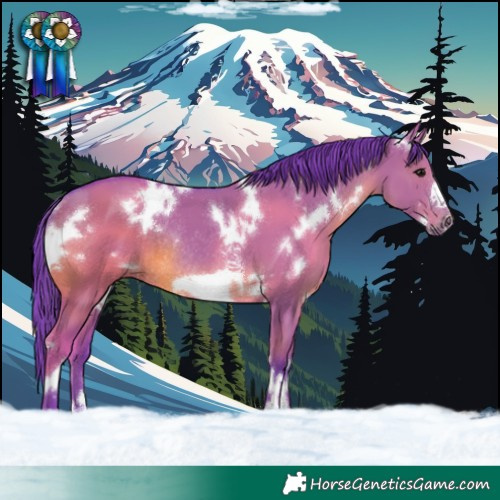 Horse Color:Watercolor White Spotted Grullo Frame Rabicano