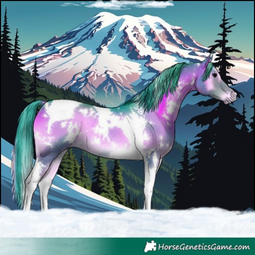 Horse Color:Watercolor White Spotted Blue Onyx Tobiano Rabicano