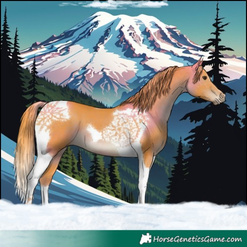 Horse Color:Watercolor Liver Chestnut Tobiano