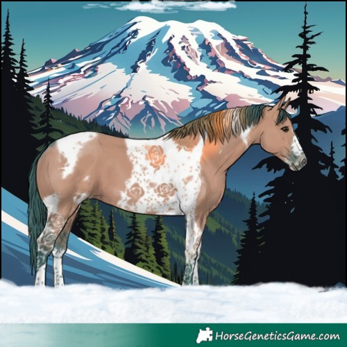 Horse Color:Watercolor Smoky Grullo Tobiano Frame
