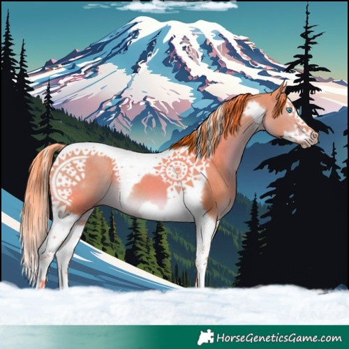 Horse Color:Watercolor Liver Red Dun Splash Tobiano Frame