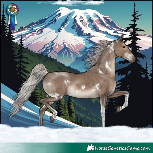 Horse Color:White Spotted Silver Grullo Tobiano Brindle