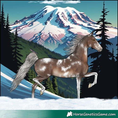 Horse Color:White Spotted Silver Black Tobiano Frame