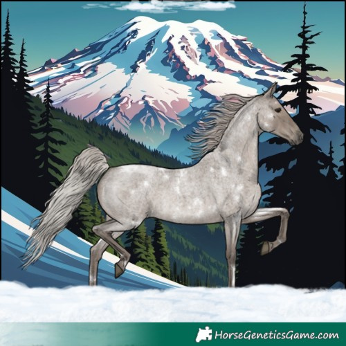 Horse Color:White Spotted Silver Grullo Roan Frame Rabicano Brindle