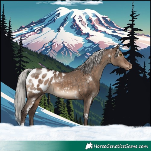 Horse Color:White Spotted Silver Brown Dun Tobiano Blanket Rabicano 