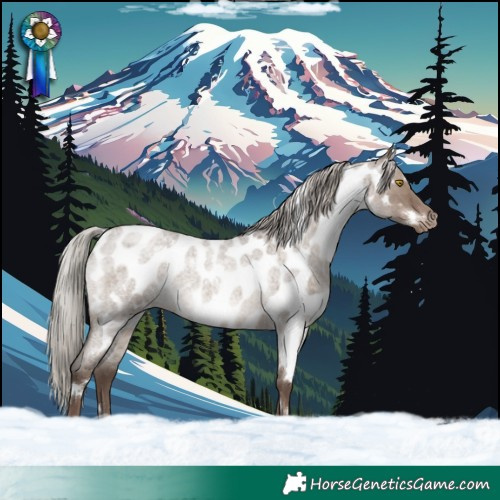 Horse Color:White Spotted Silver Grullo Roan Near Leopard Rabicano