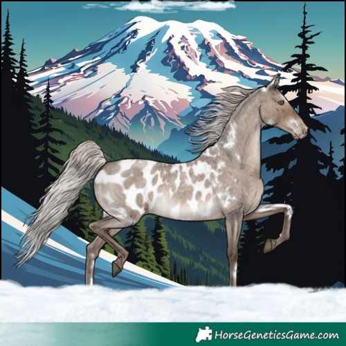Horse Color:White Spotted Silver Grullo Roan Blanket Rabicano Brindle