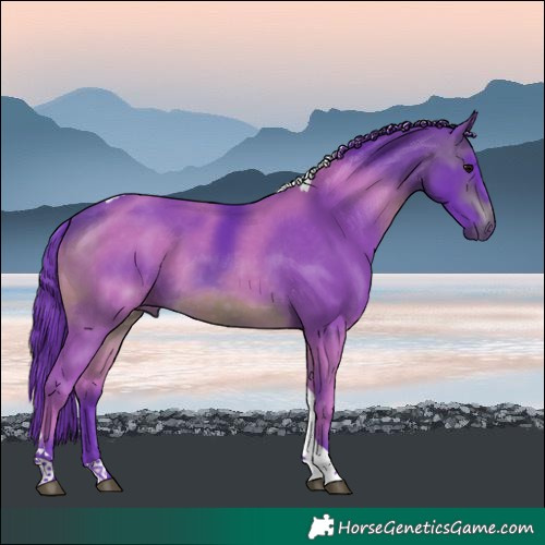 Horse Color:Watercolor Brown Tobiano 