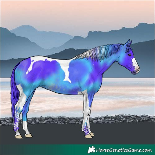 Horse Color:Watercolor Brown Tobiano 