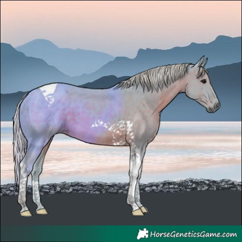Horse Color:Watercolor Silver Black Tobiano