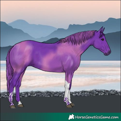 Horse Color:Watercolor Black Tobiano 
