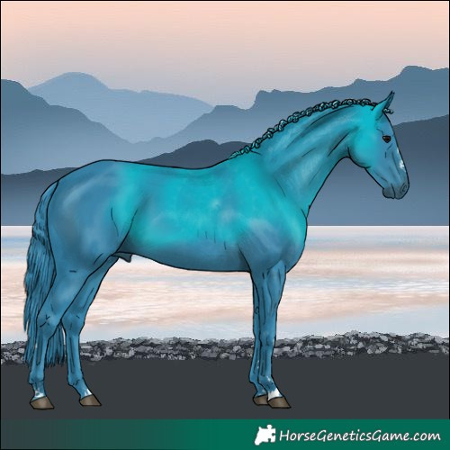 Horse Color:Watercolor Black