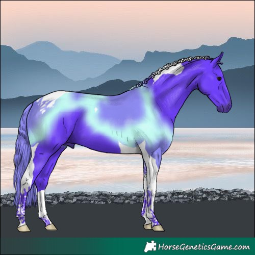 Horse Color:Watercolor Black Tobiano 