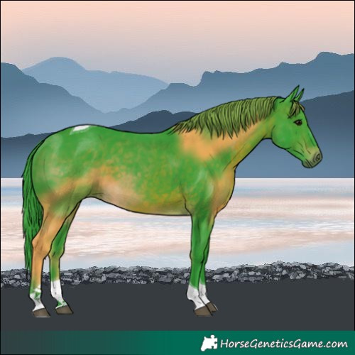 Horse Color:Watercolor Brown Tobiano